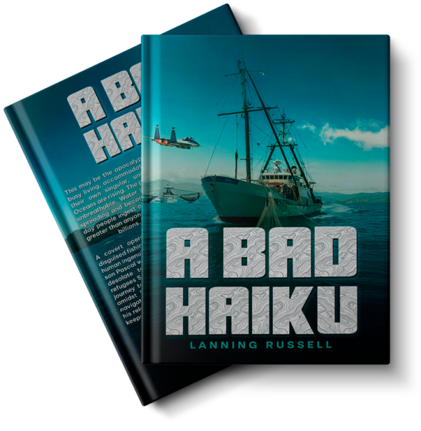 A Bad Haiku (eBook)